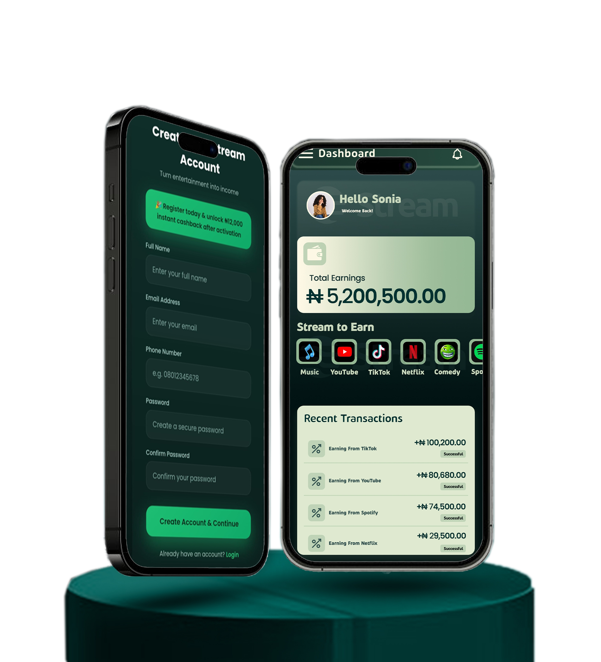 STREAM Dashboard Preview